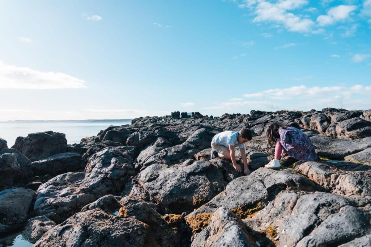 Takapuna Beachfront W Stunning Views أوكلاند المظهر الخارجي الصورة